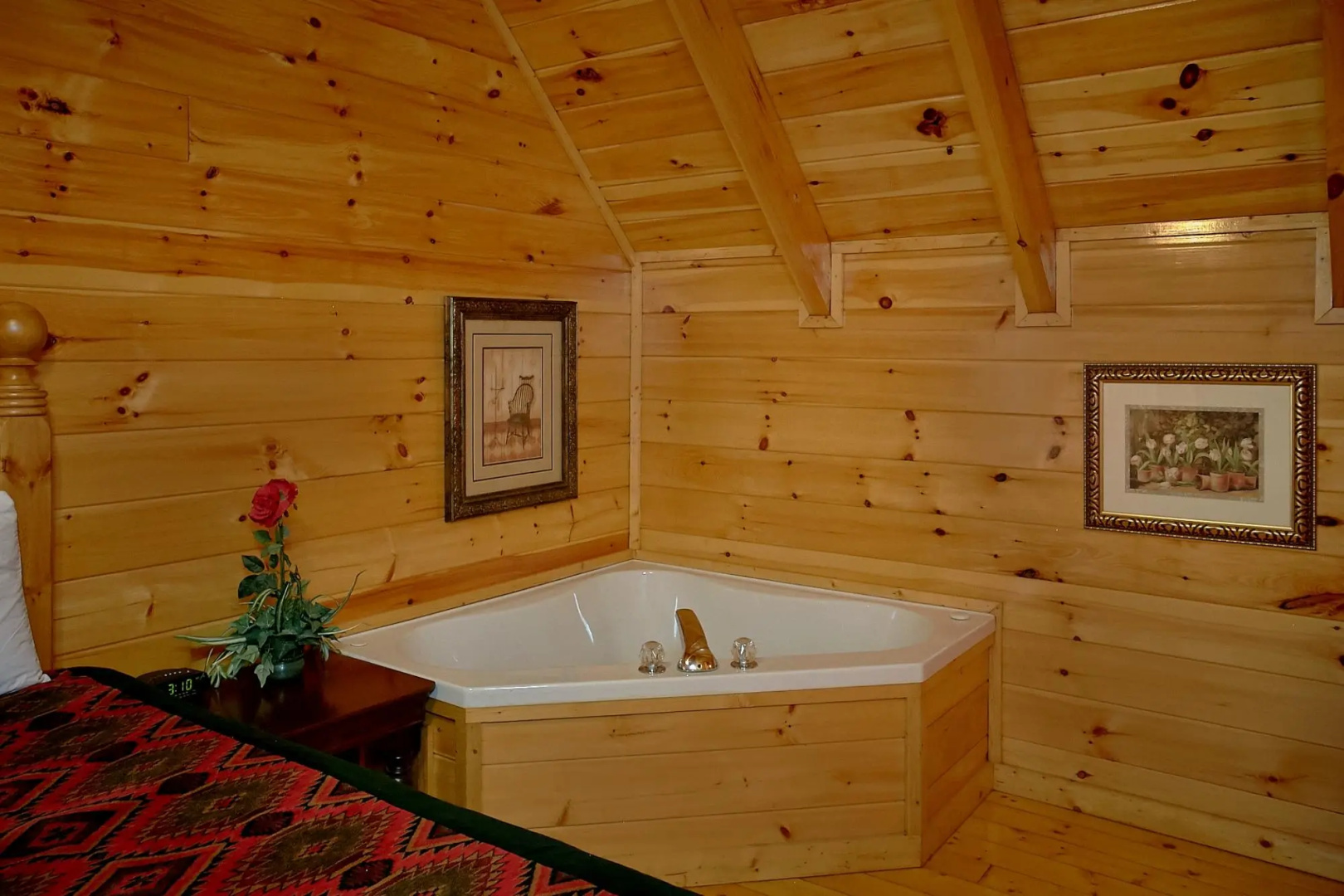 A Mountain View Theater Lodge Holiday home