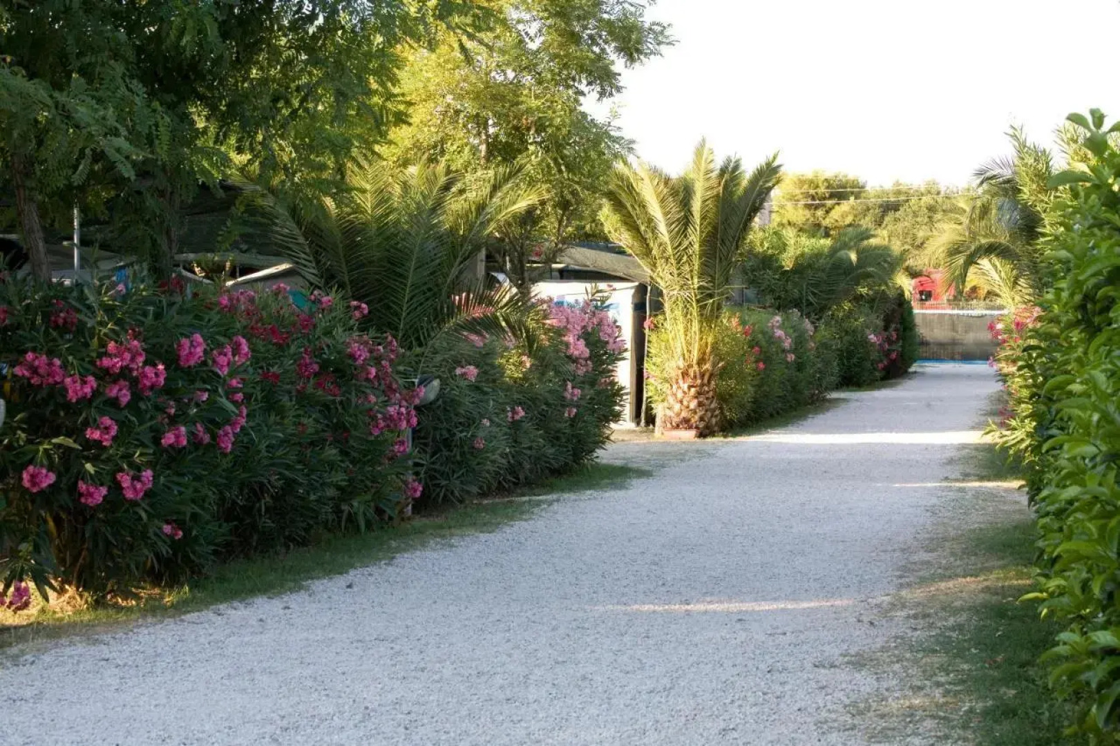 Camping Village Corrado