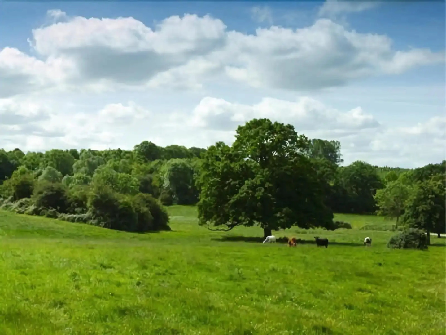 The Old Piggery Guest Accommodation