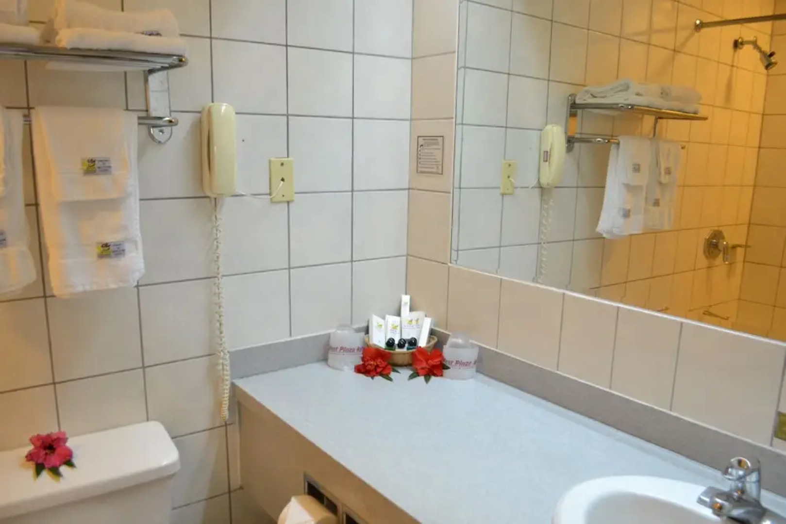 West Plaza Coral Reef