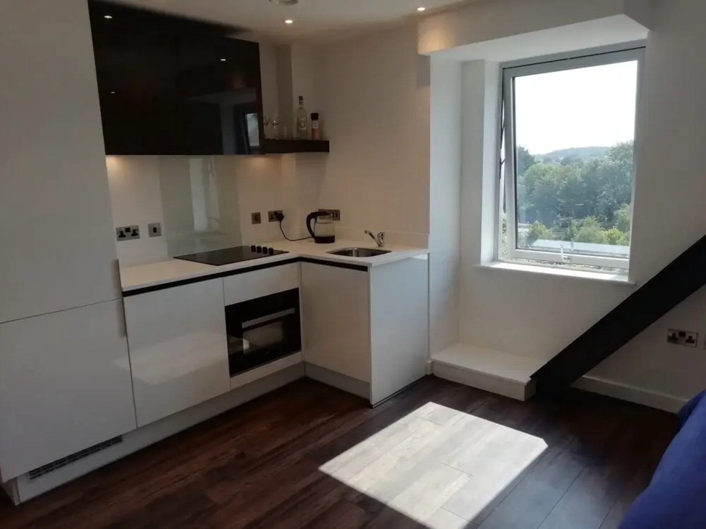 Luxury One Bedroom Apartment