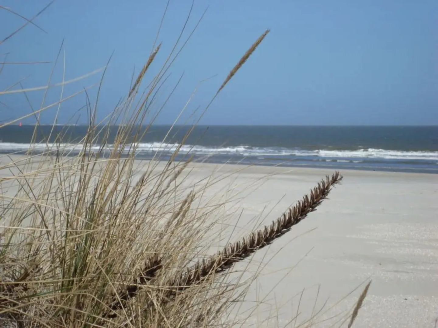 Strandblume Borkum Comfortable Holiday Residence