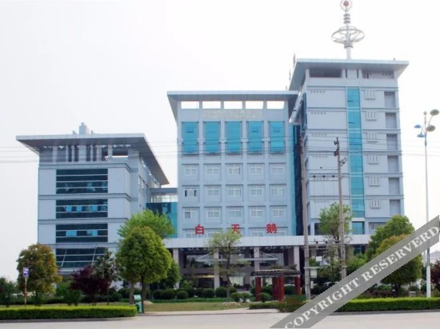 White Swan International Hotel