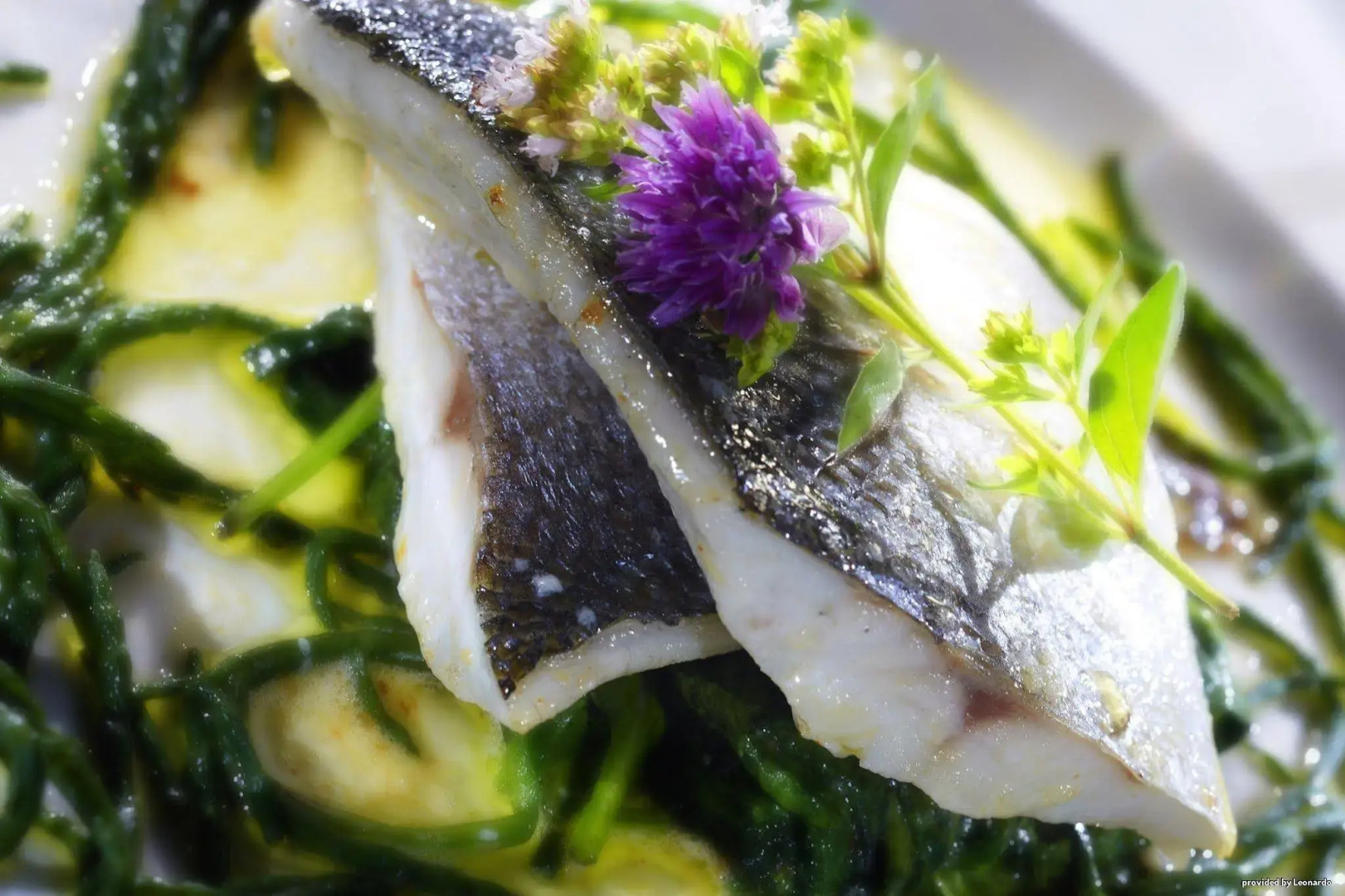 Tiverton Hotel Lounge & Venue