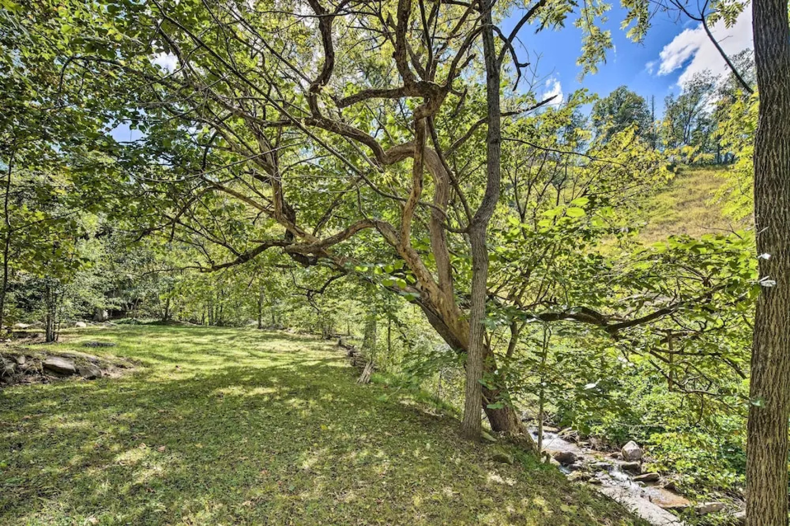 Whimsical Bat Cave Cottage w/ Fire Pit!