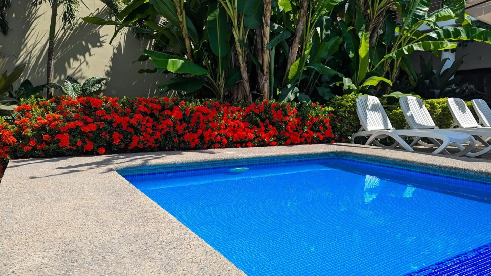 Departamento los gallos ,en planta baja