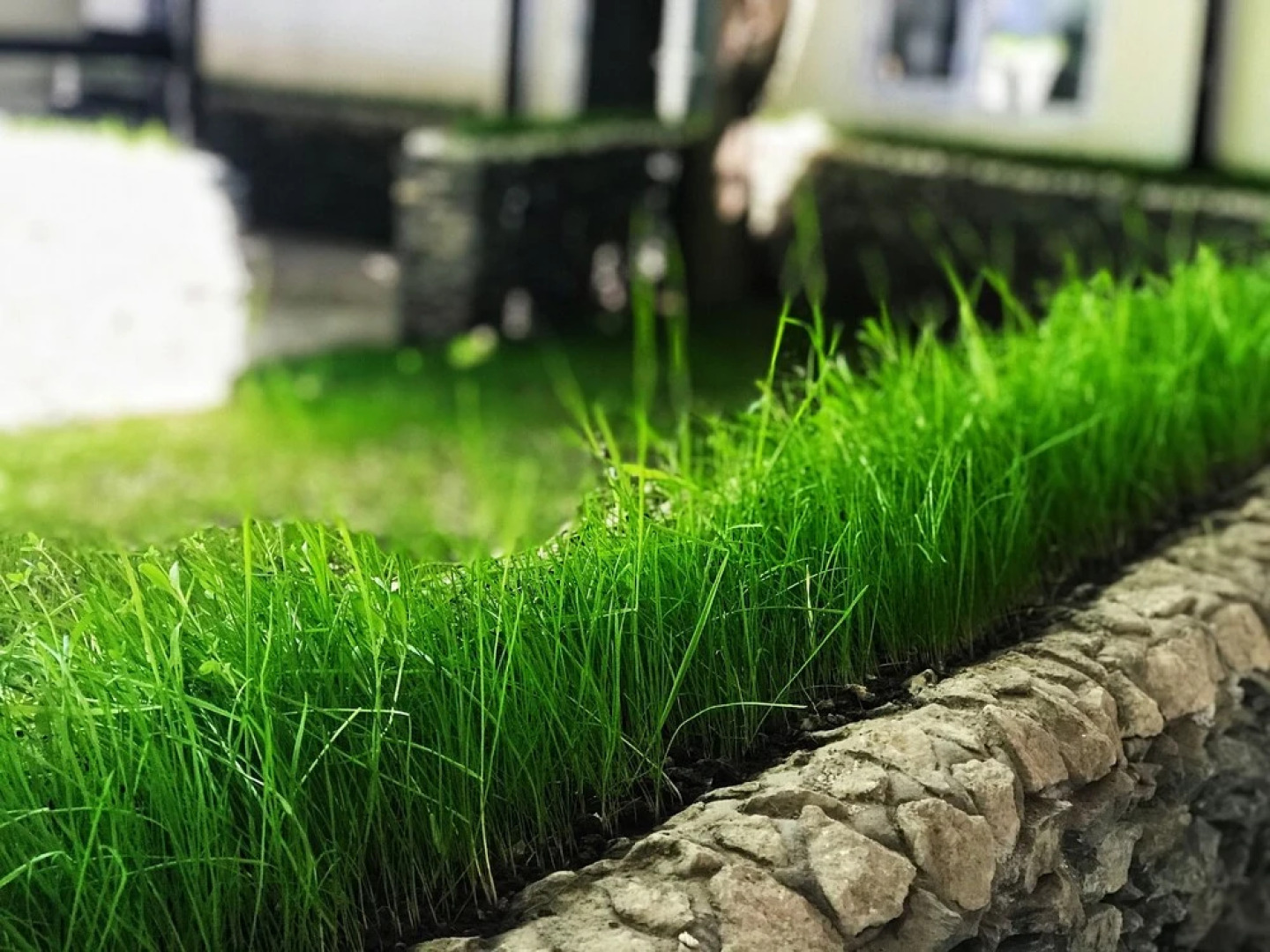 Парк-хостел «Ош»