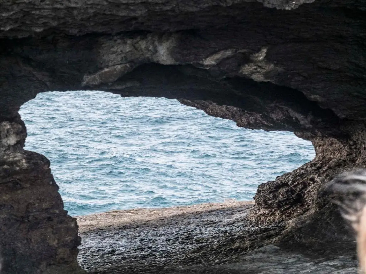 Apartamentos Mirador de Bareyo