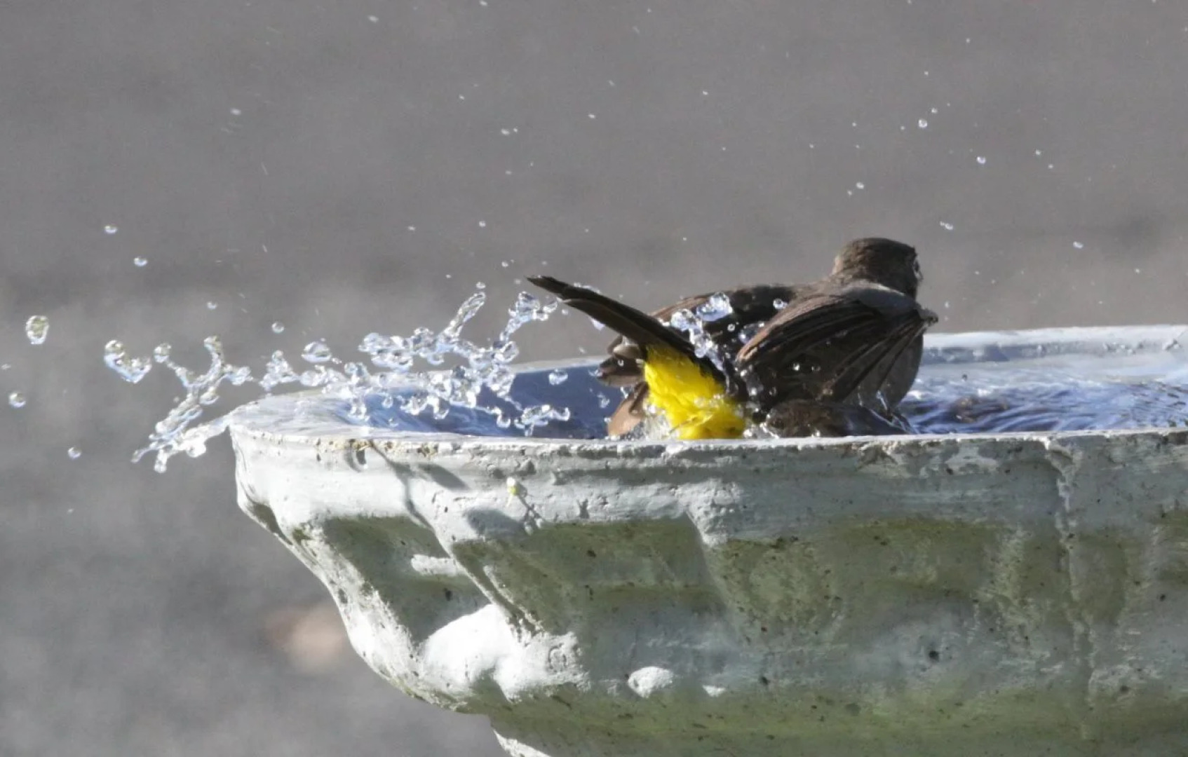 Aire del Mar Guest House