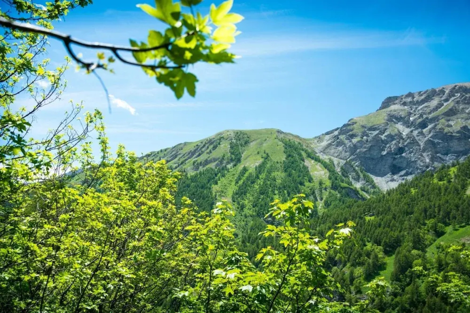 White House Ski Relax