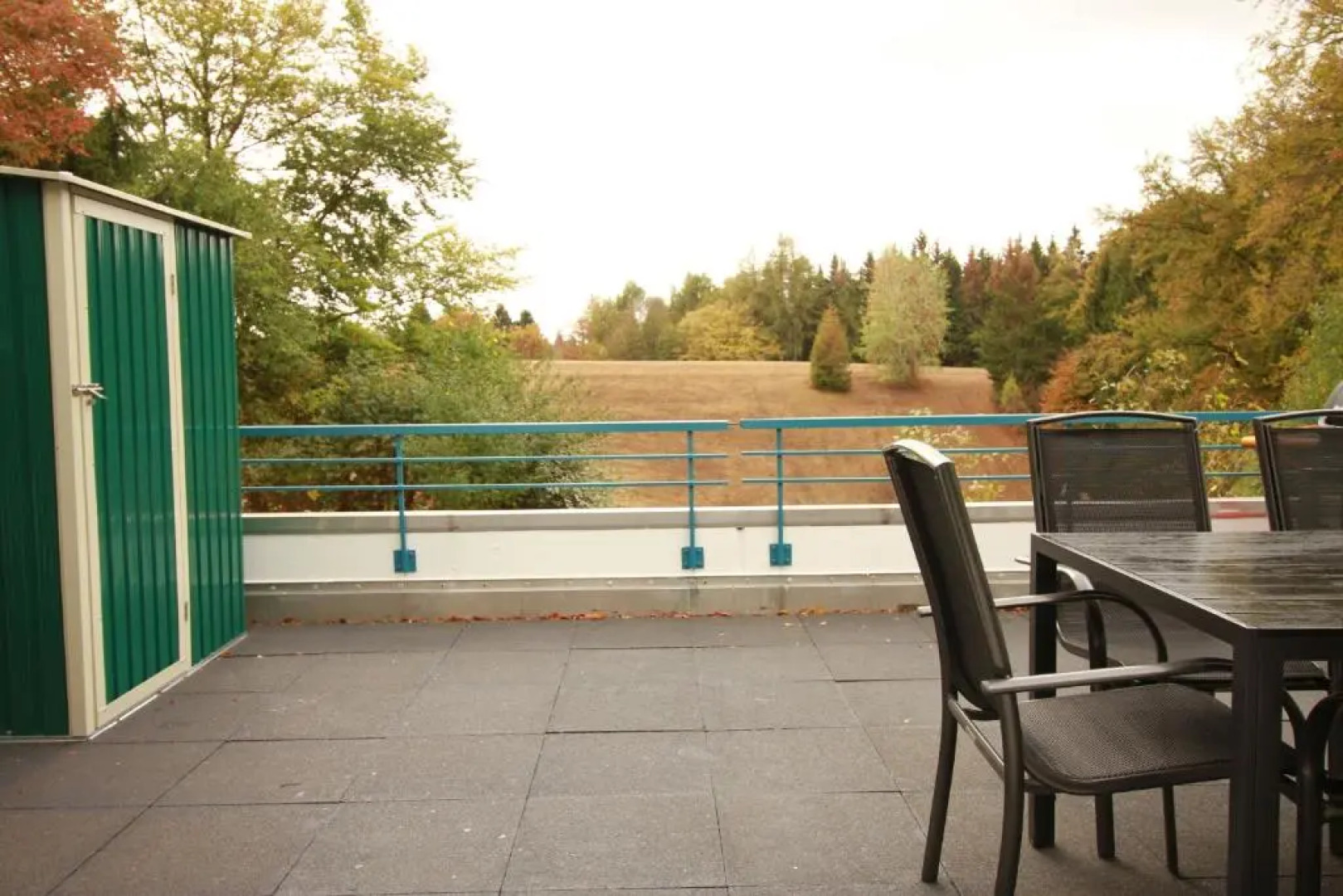 App 613 Panoramic Hohegeiß Terrassenhaus