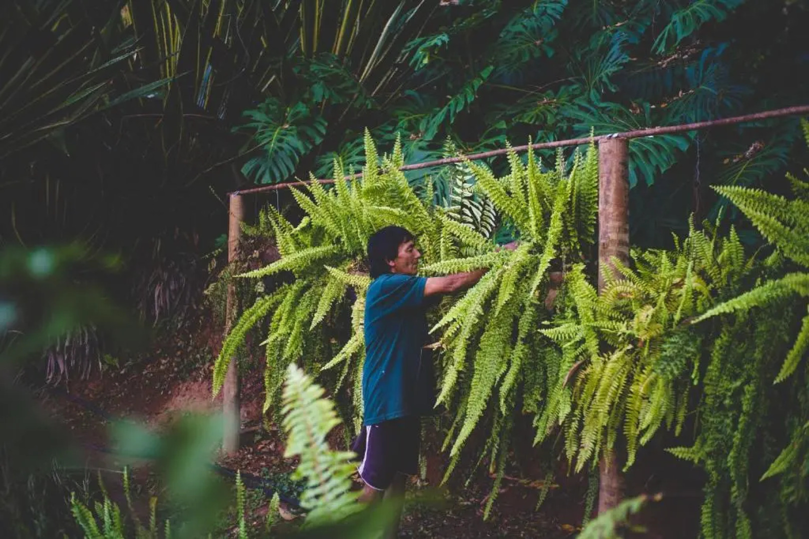 Eco Resort Bela Riba