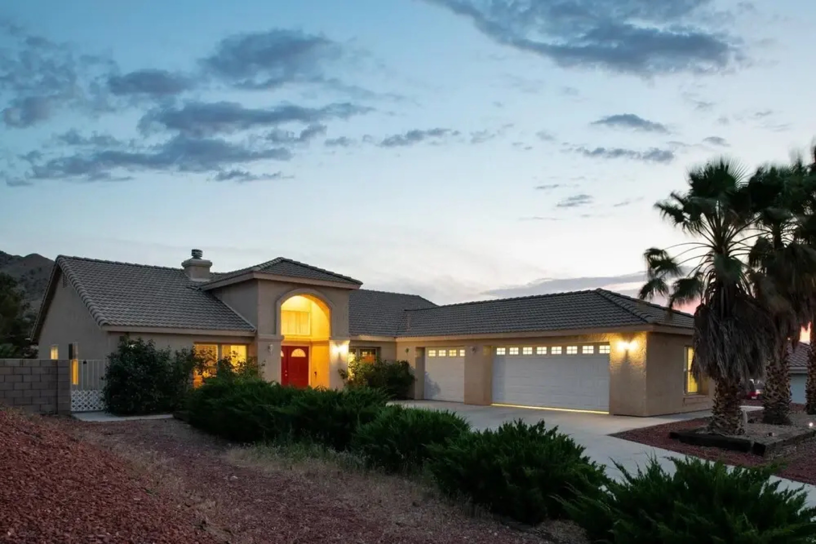 Selecta Ave - Fauna in Yucca Valley