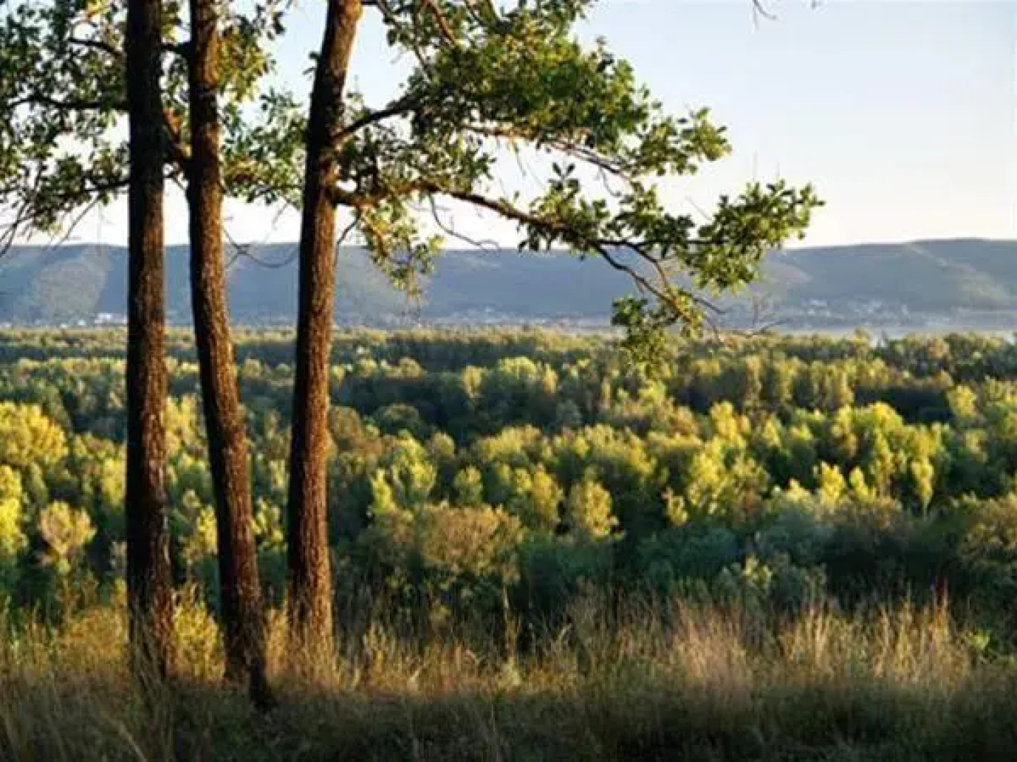 Samaras Cottages Mastryuki Finsky 43