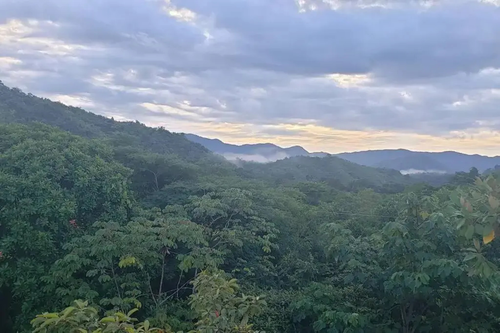 Casa Melina Torio Cozy upscale 2bd jungle House