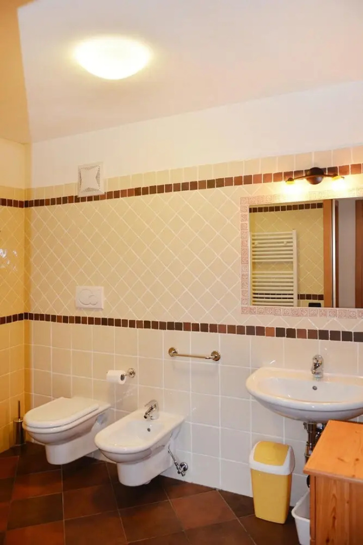 Apartment in Pellizzano With Paid Sauna