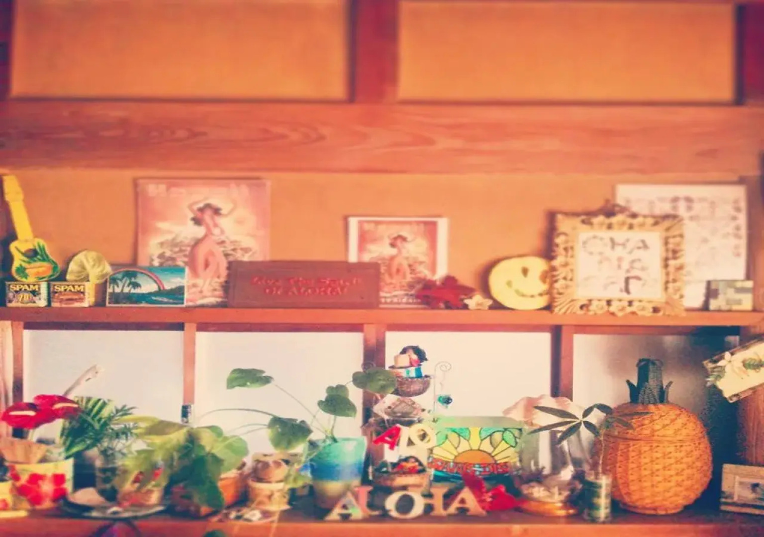 Seaside Guest House Plumeria