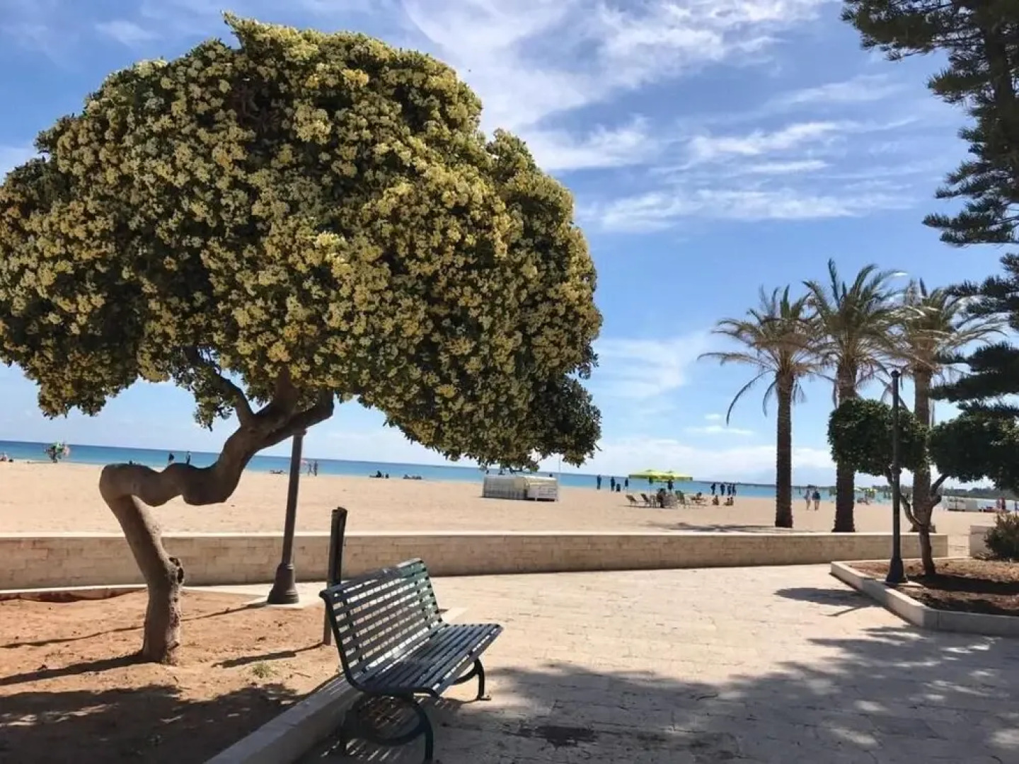 Agriturismo La Rocca degli Ulivi