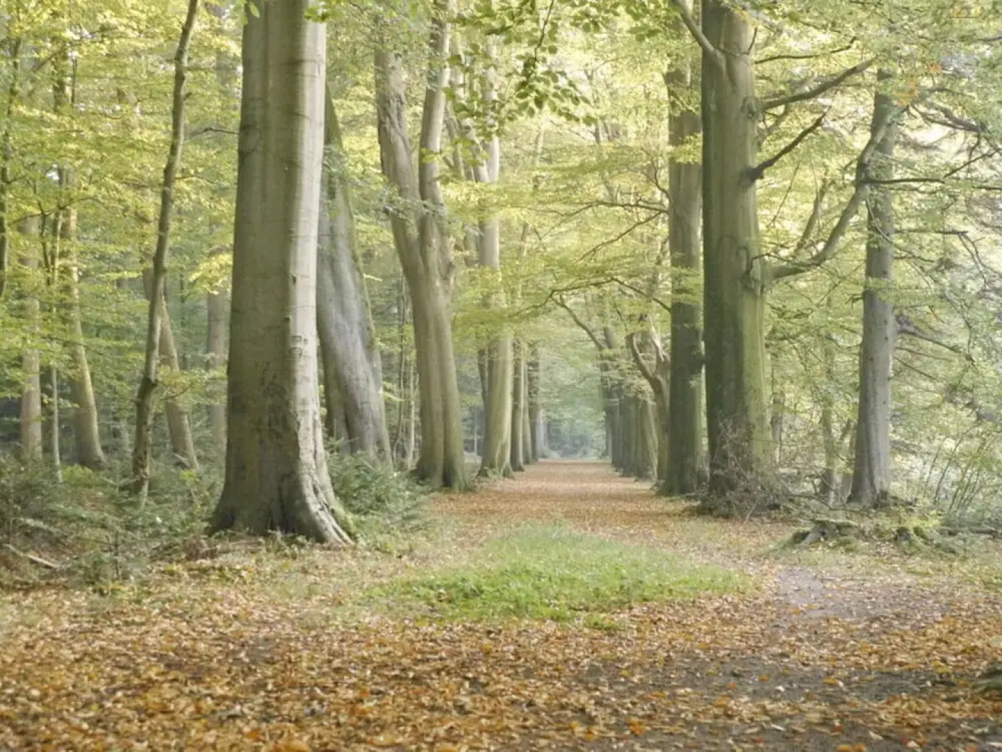 Orangery Berum Modern Retreat