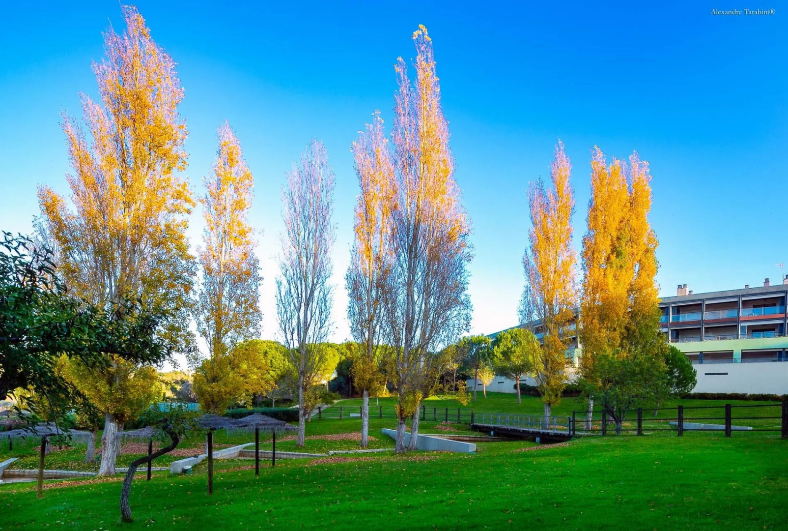 A11 - MarinaPark Hill Beach Apartment