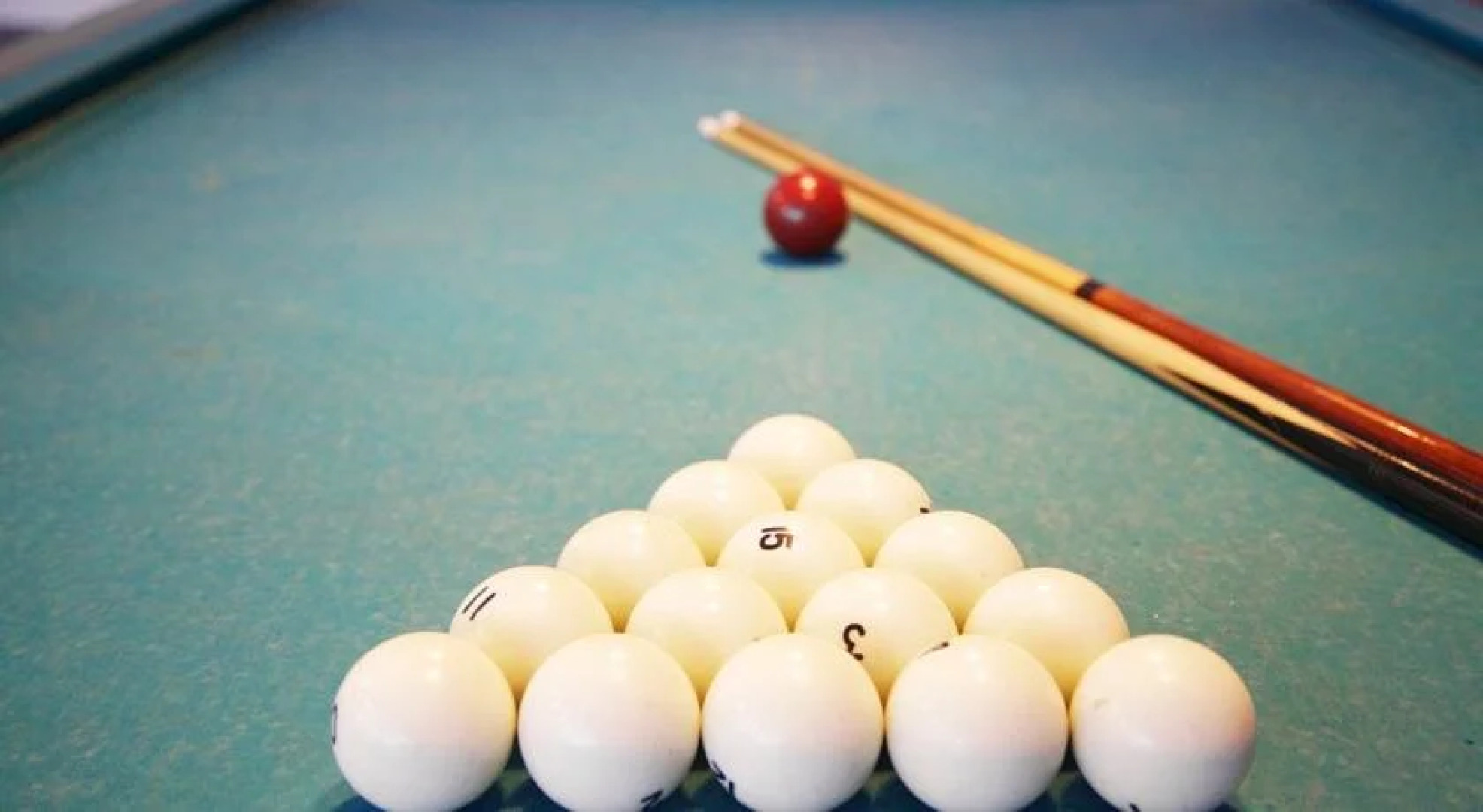 Отель Сититель Ольгино 