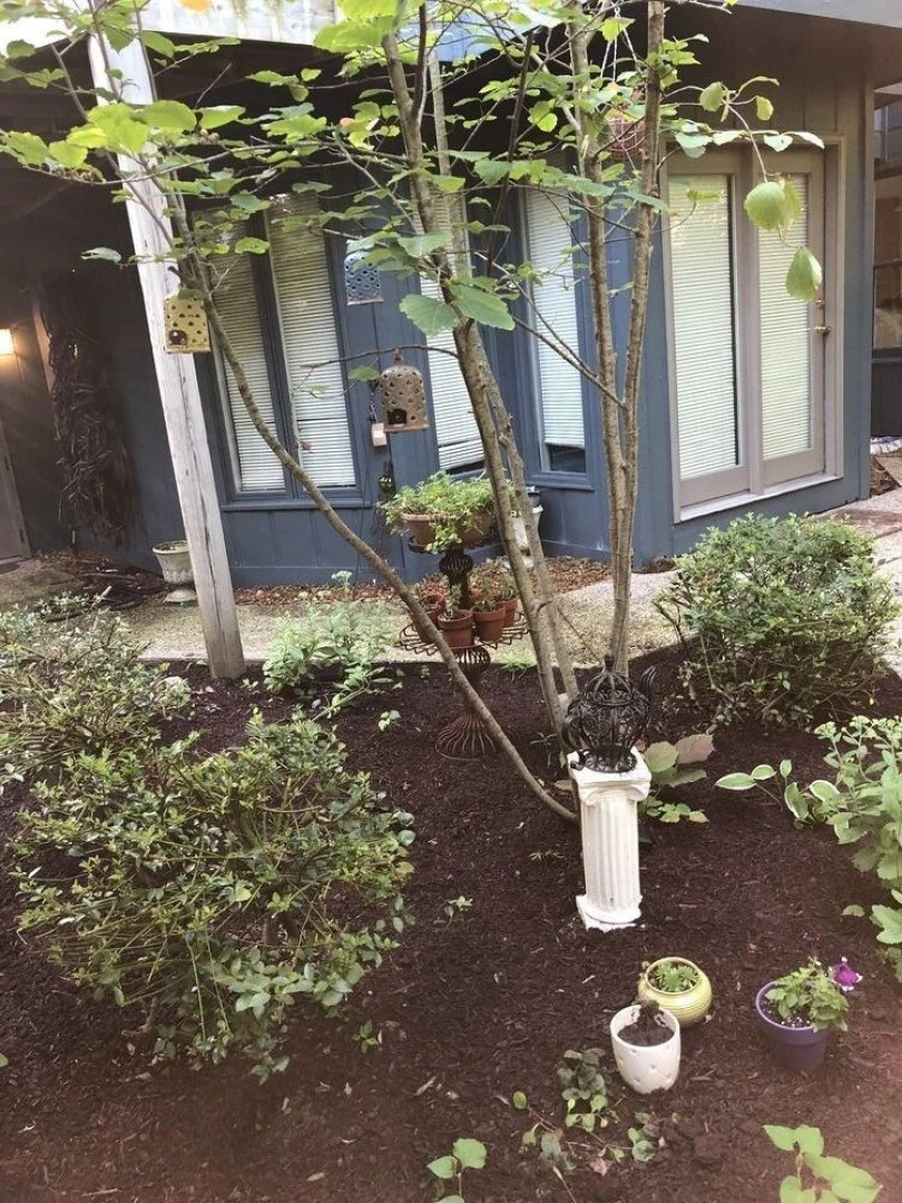 TreePot TeaHouse and Garden