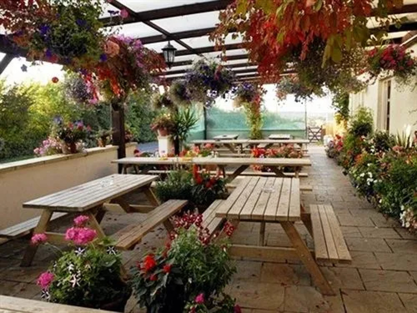 The Flying Fish Stables