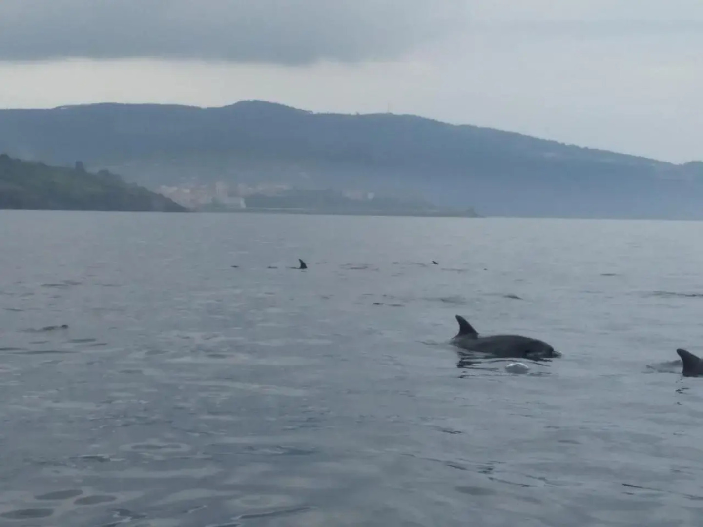 Bermeoko Etxie La casa de Bermeo EBI-795