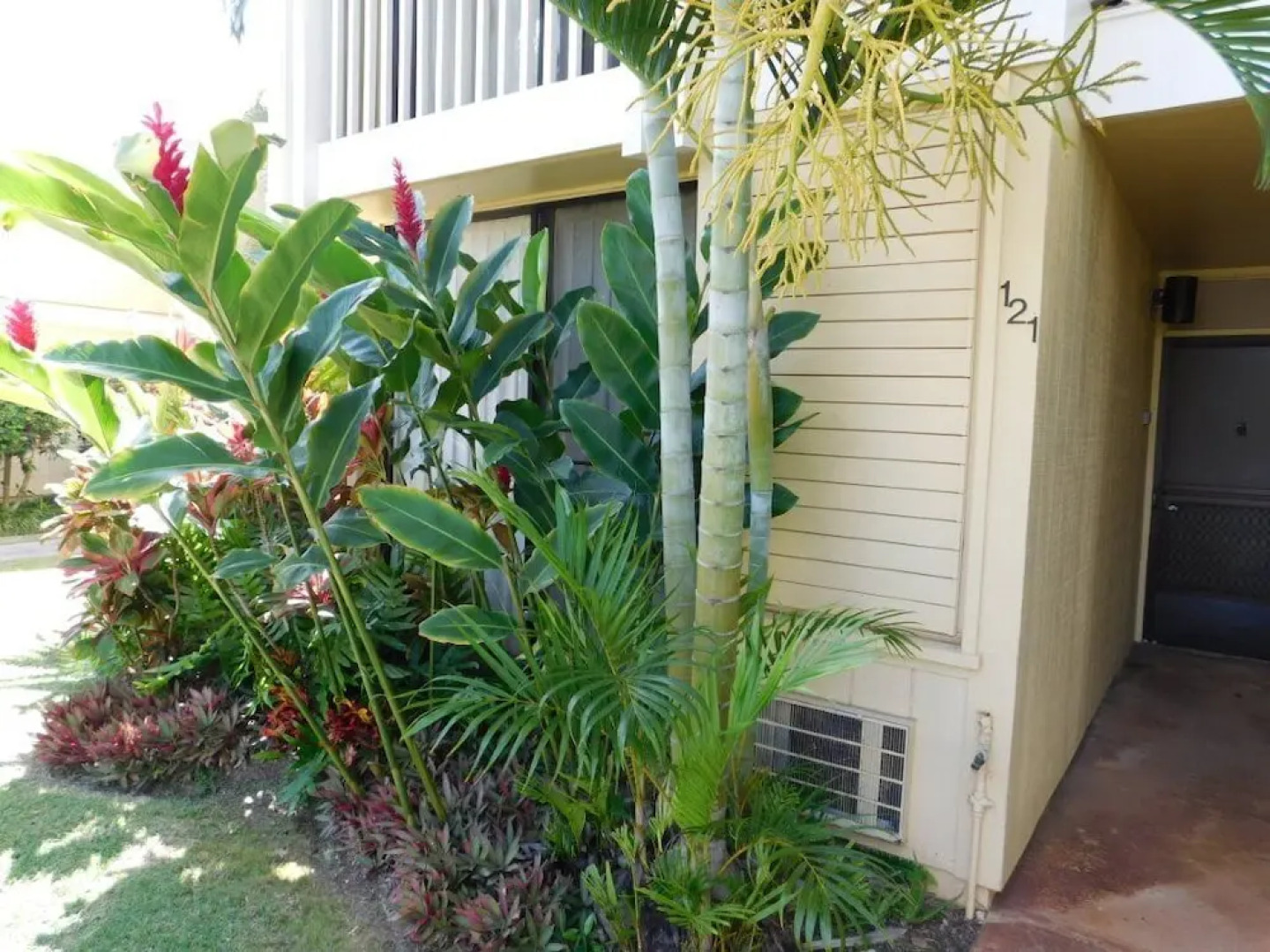 Turtle Bay Guava**ta-009966796801 1 Bedroom Condo by RedAwning