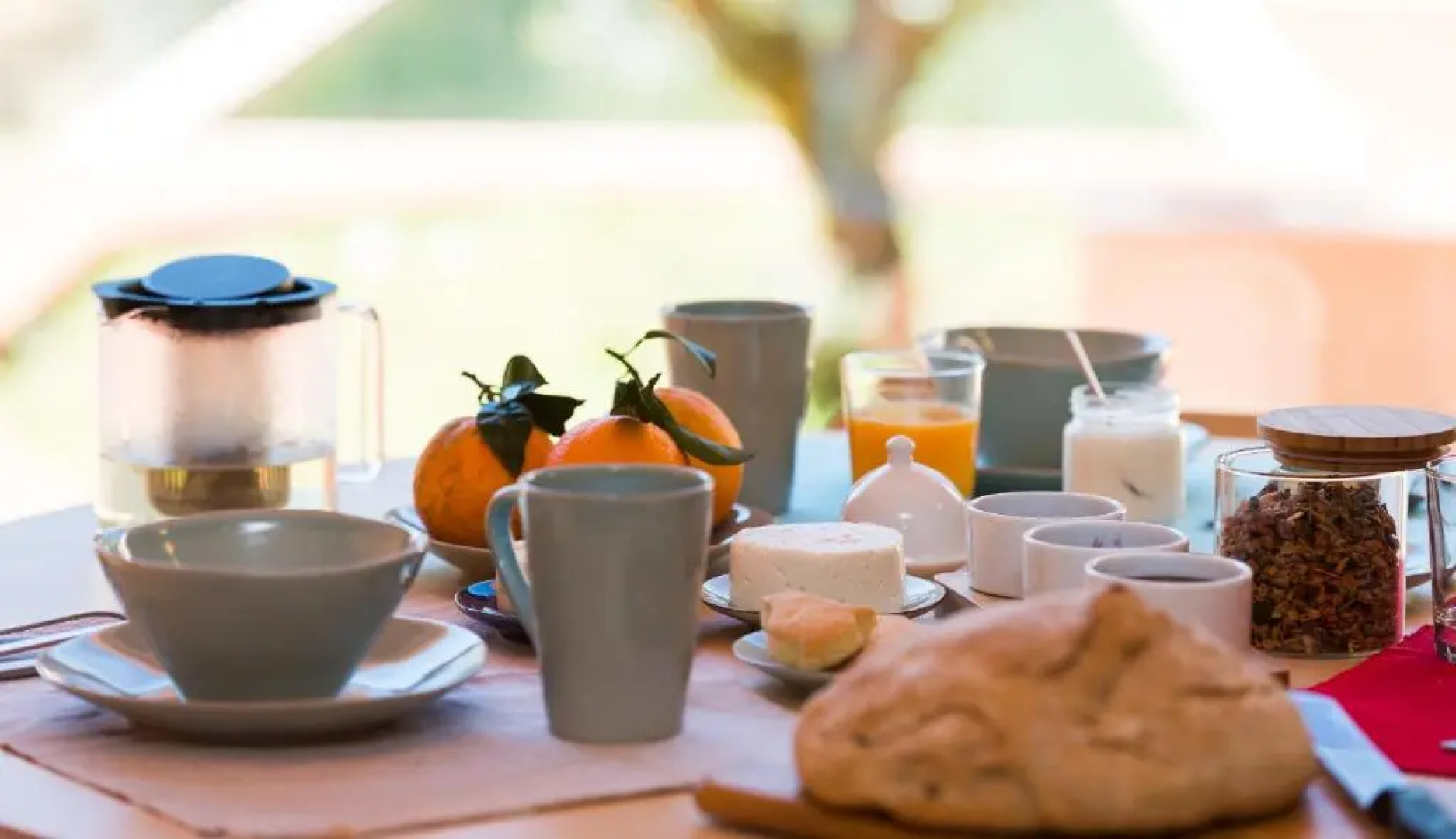 Vale do Ninho Houses