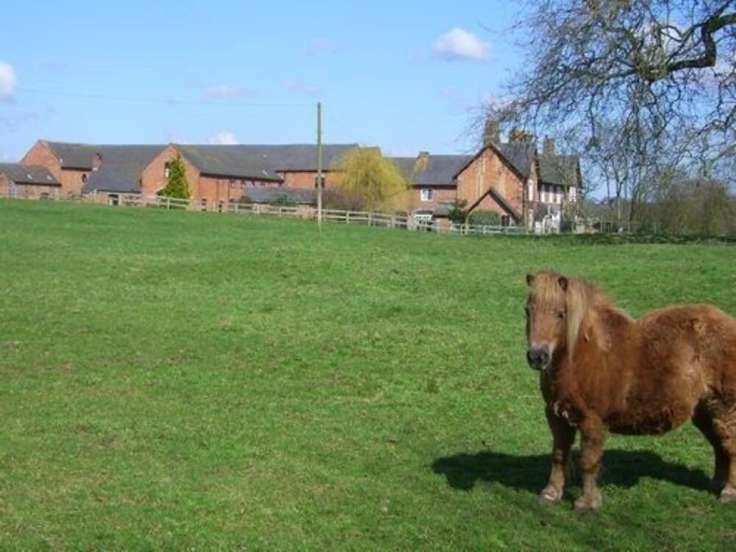 Offley Grove Farm