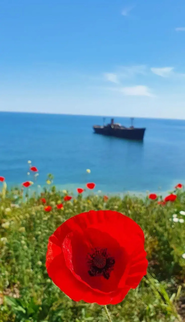 Sea&Sky Villa Costinesti