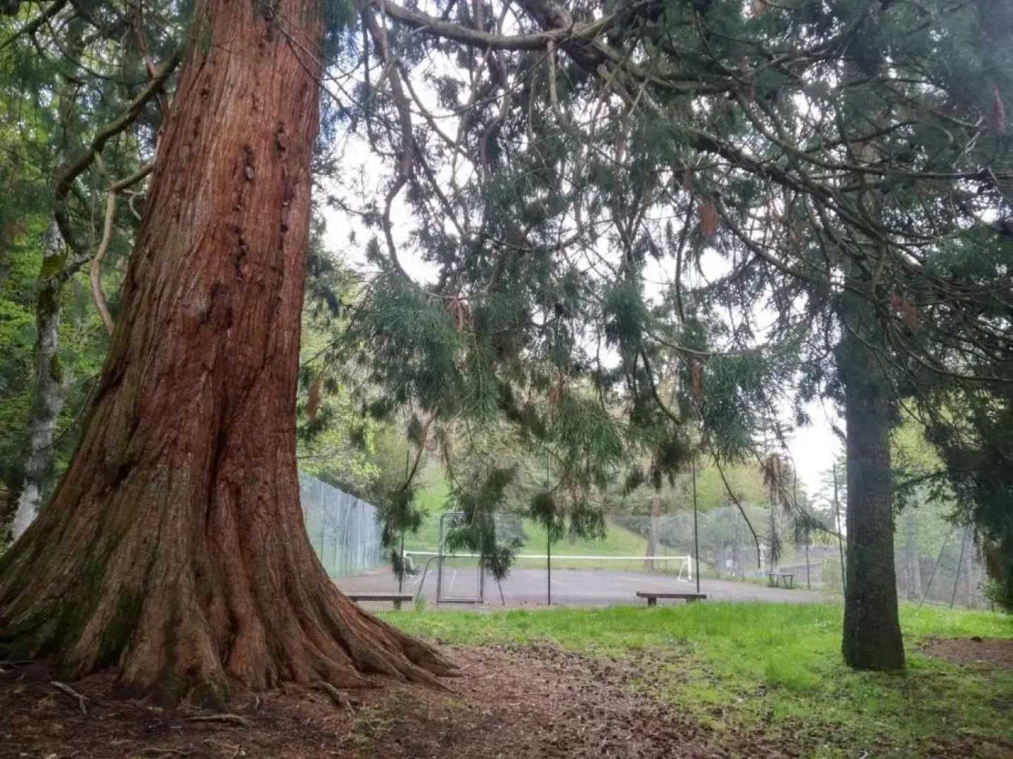 Studio au cœur des Volcans d Auvergne - Murol