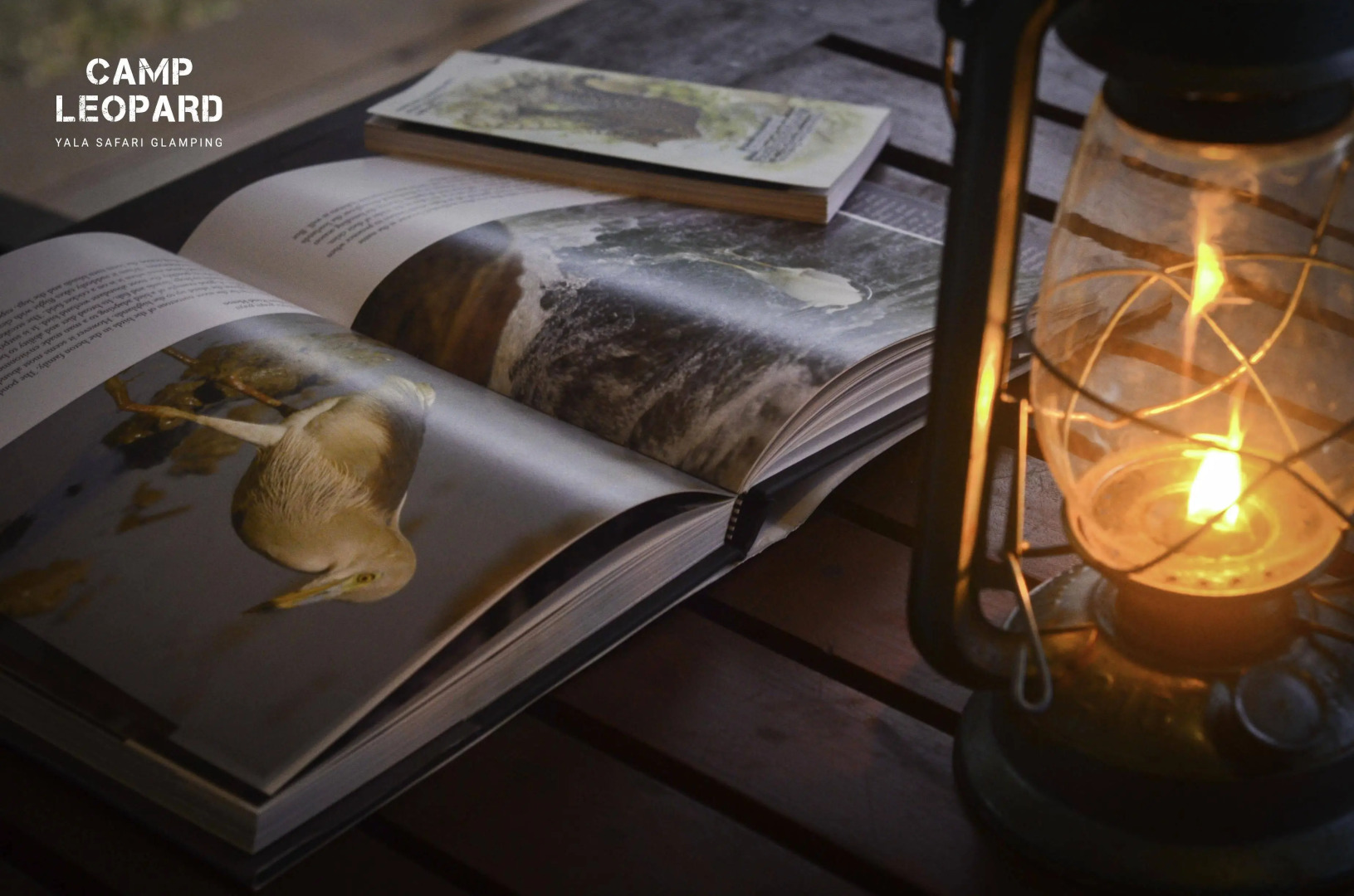Camp Leopard - Yala Safari Glamping