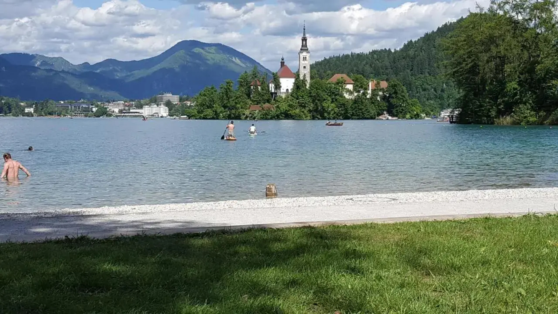 Sovica