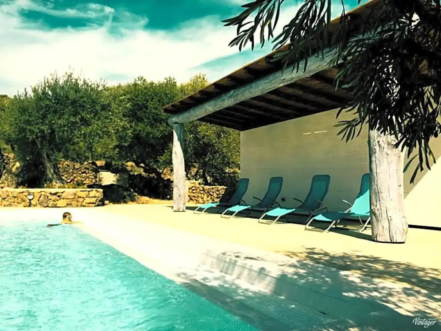 Flores Amarillas B&B