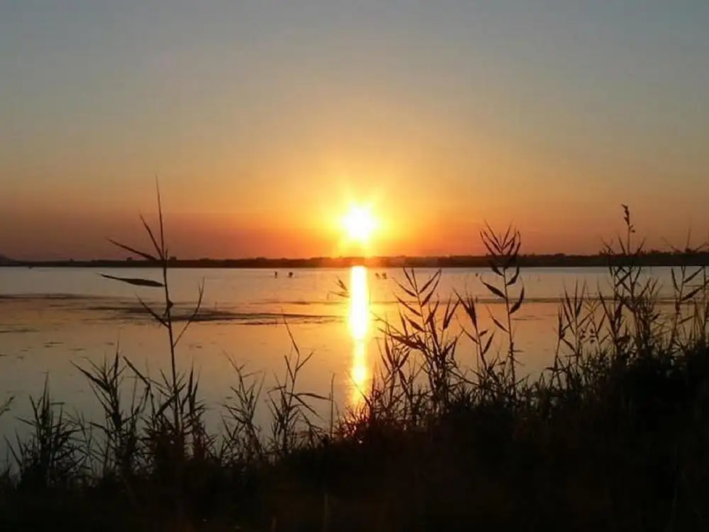 3 bedrooms property with furnished terrace at Carpino