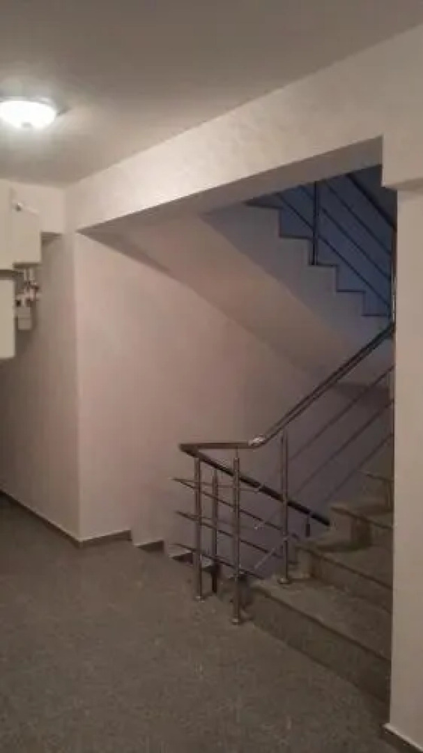 Lions Studio Dristor