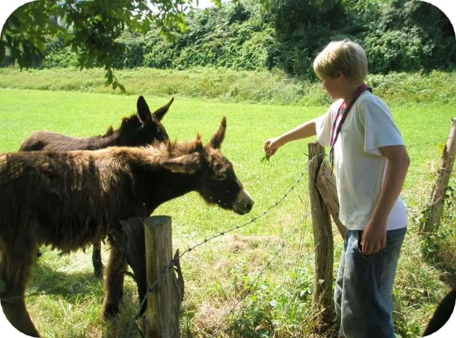 House With 7 Bedrooms in Aldudes, With Wonderful Mountain View, Enclosed Garden and Wifi - 70 km From the Beach