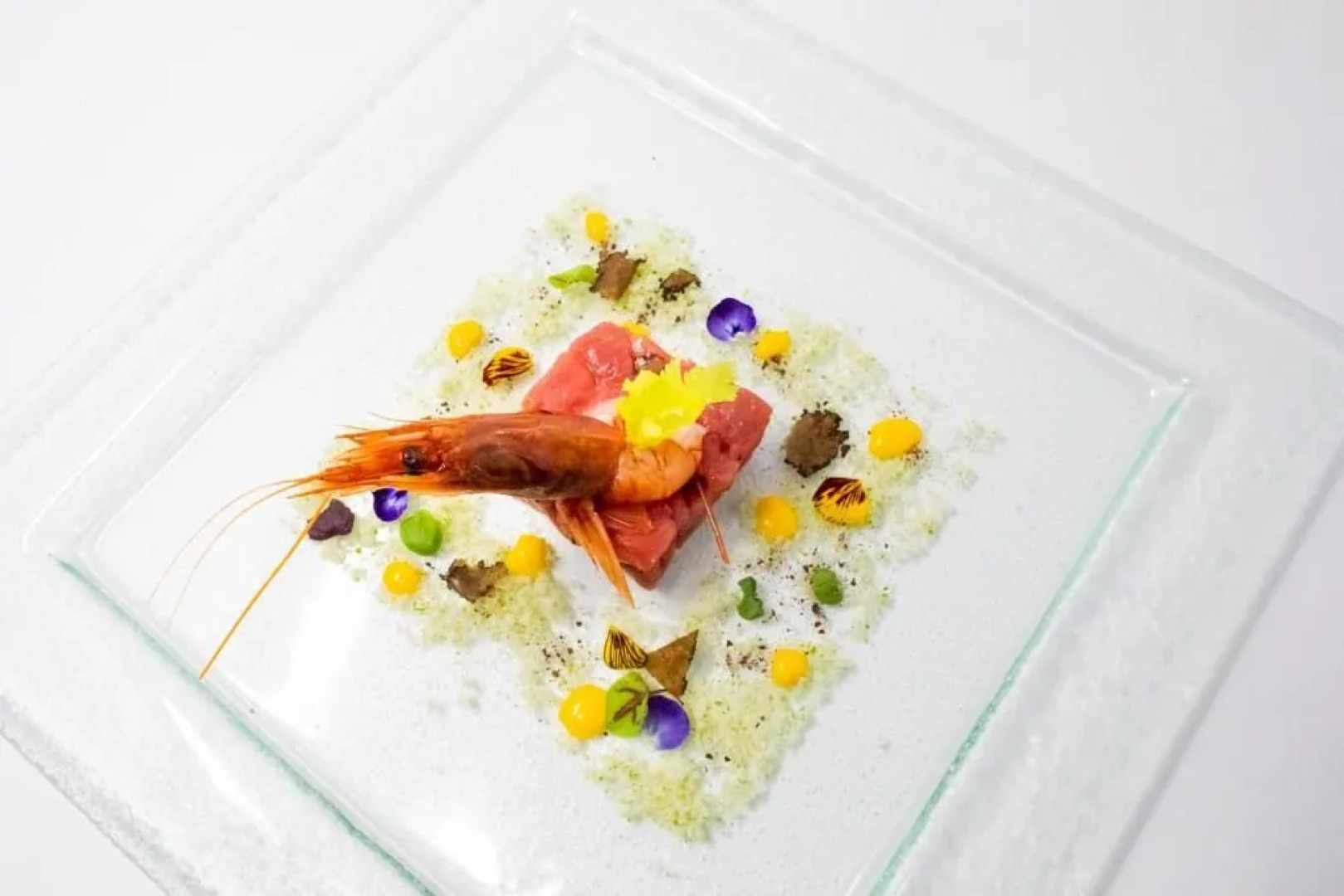 Hotel Excelsior Planet