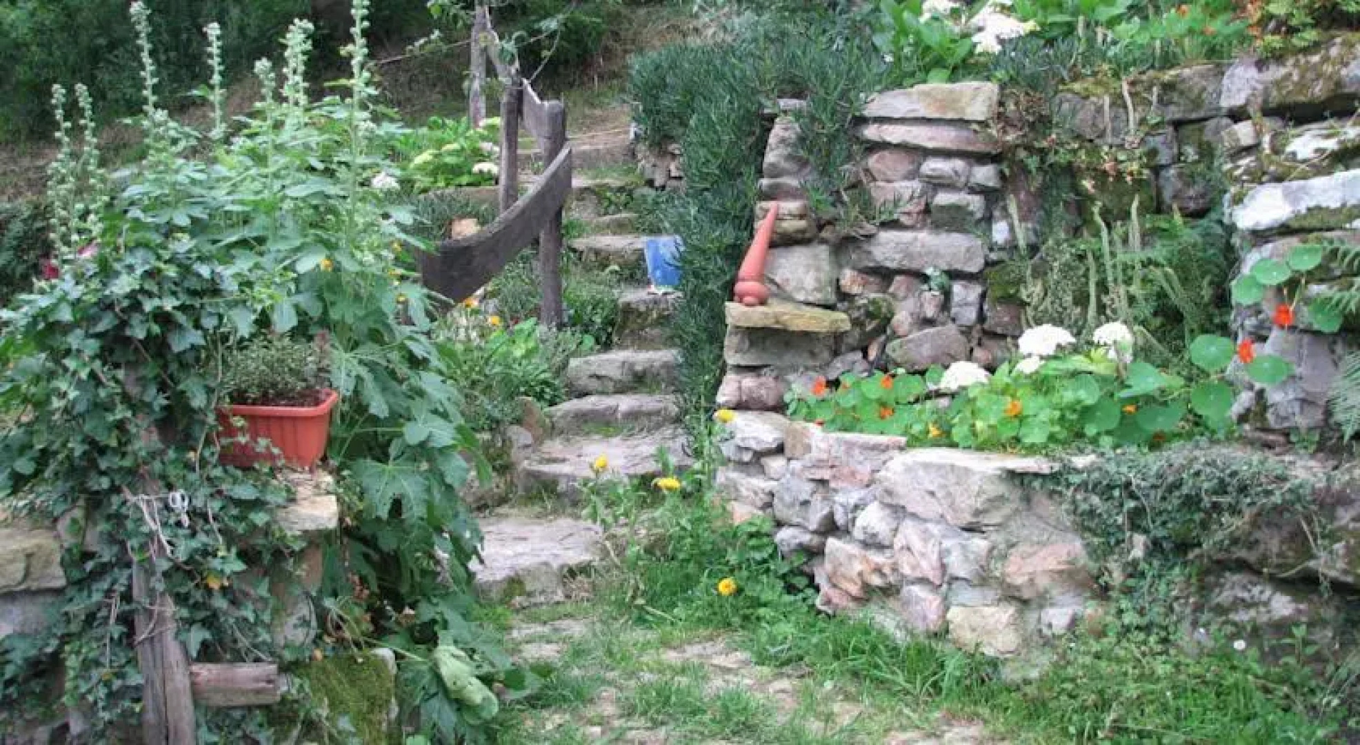 Apartamento Rural en Plena Naturaleza