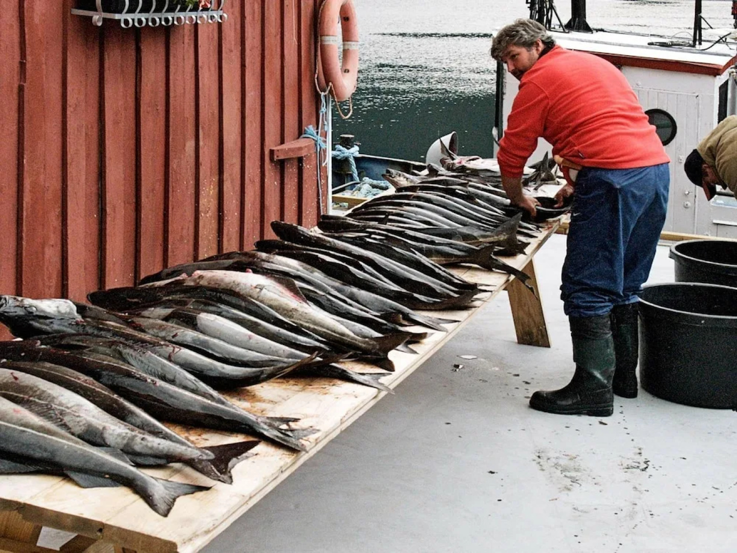 4 Star Holiday Home in Todalen