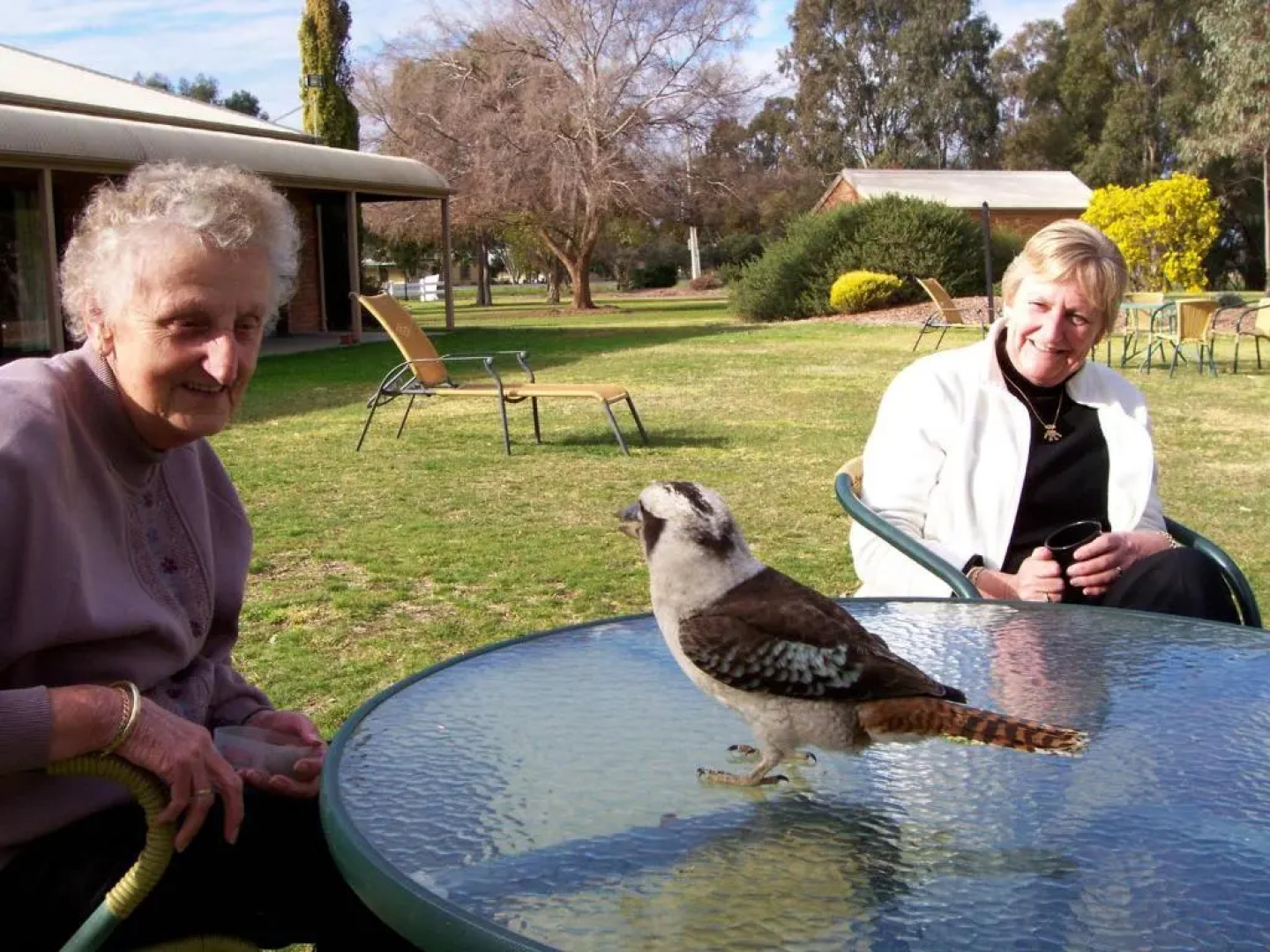 Cadell on the Murray Motel Resort