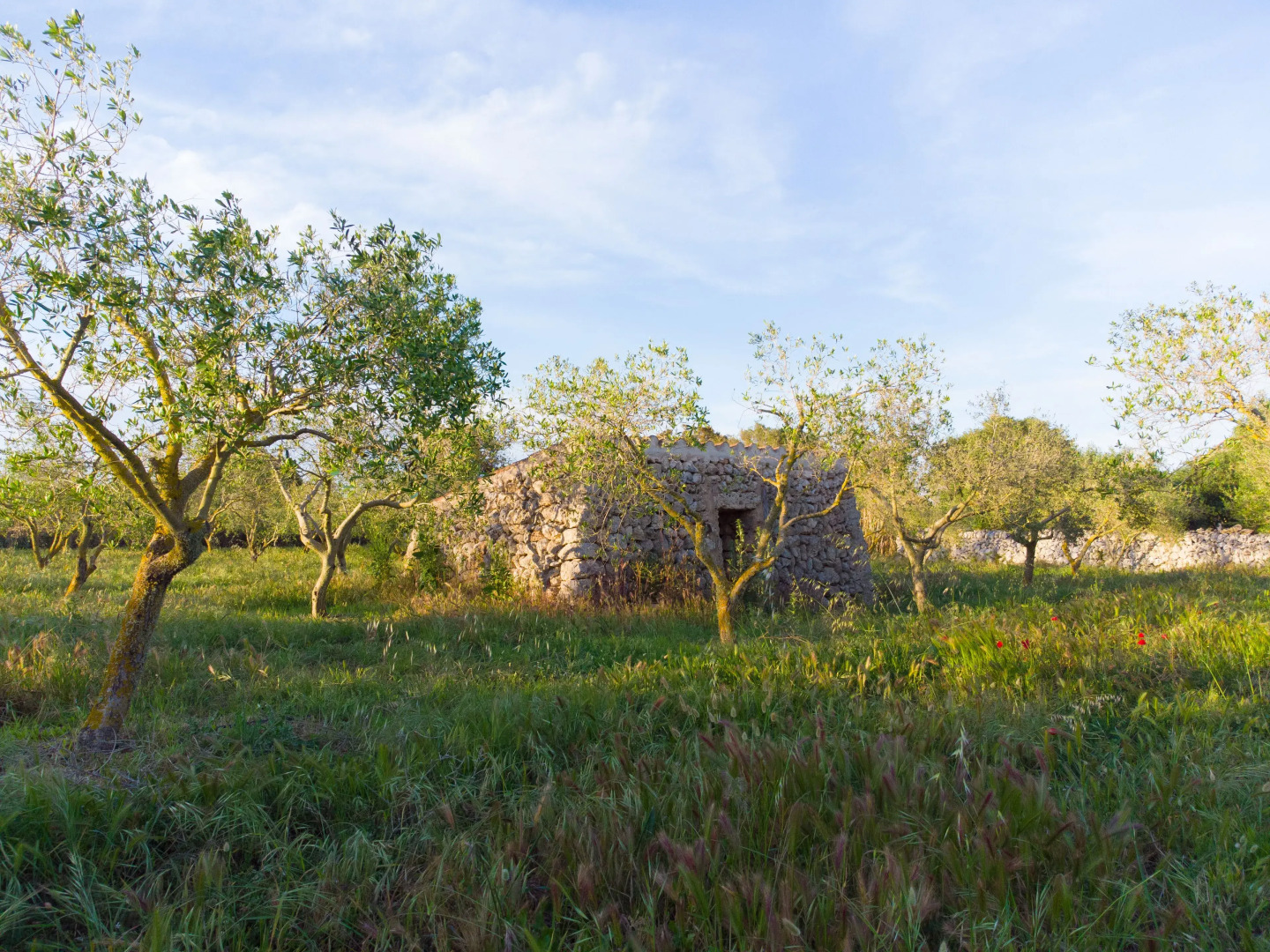 Agroturismo Malbuger Nou - Adults only