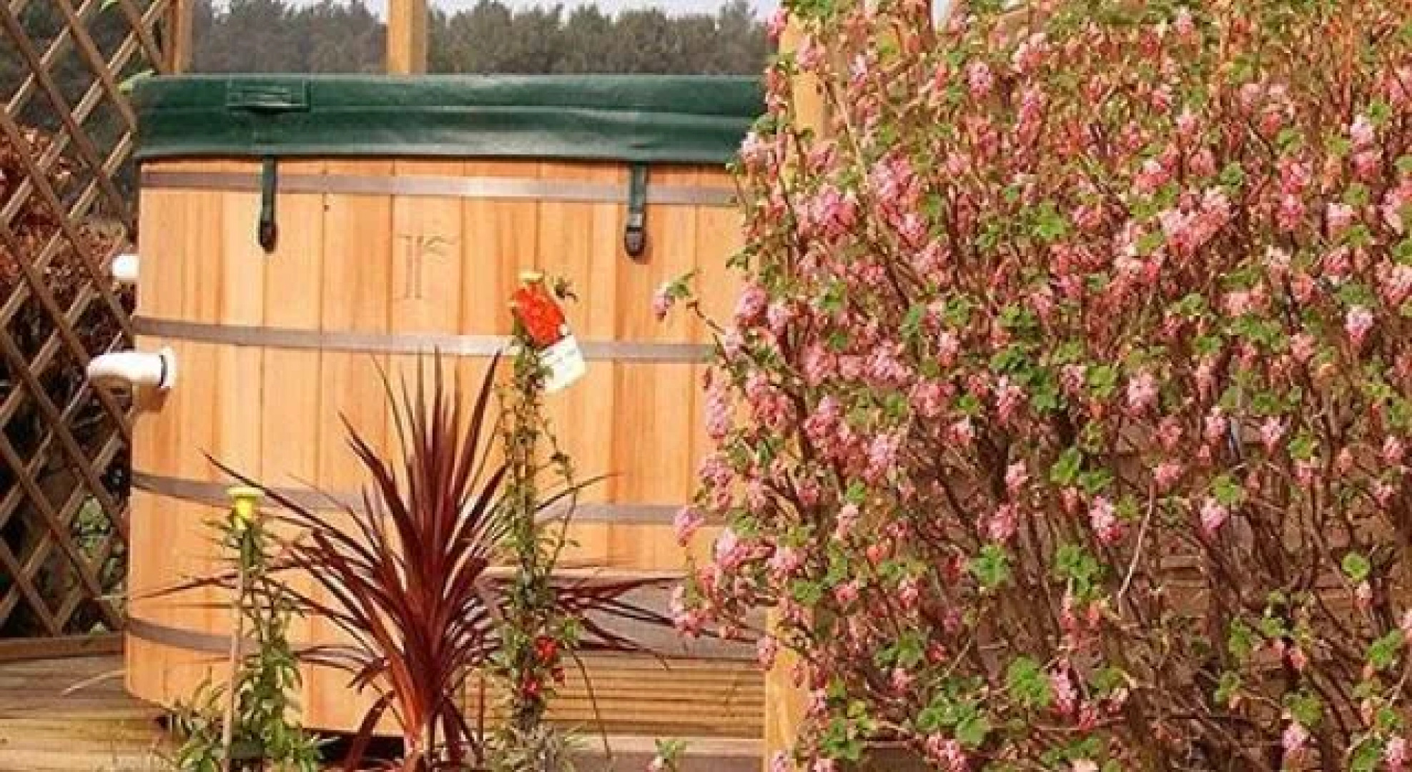 Redlands Country Lodge Guest House