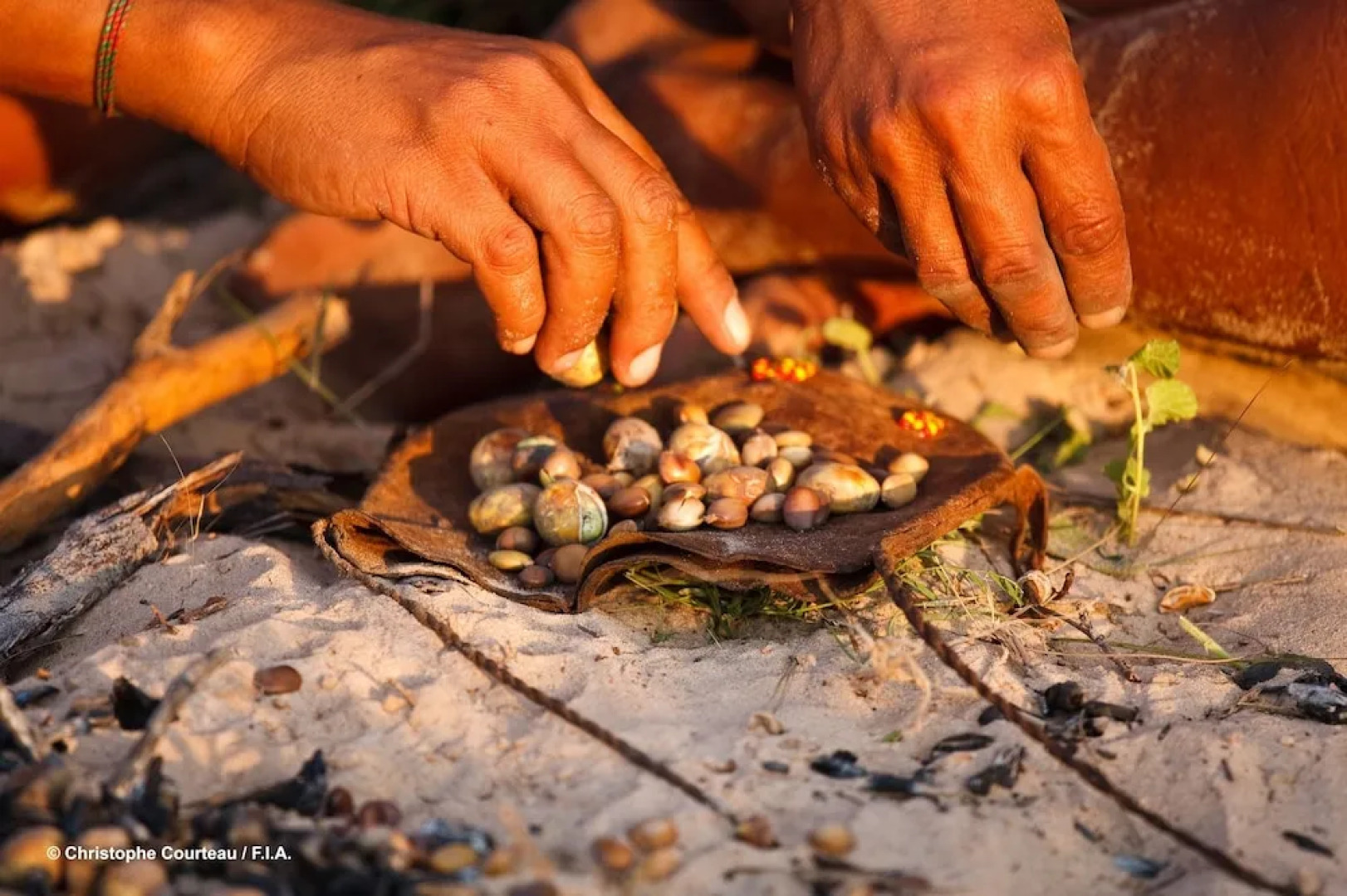 Grassland Bushman Lodge