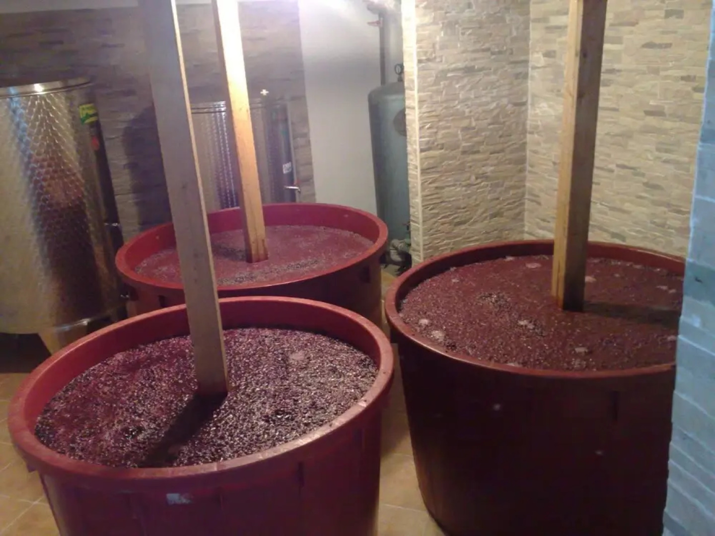 Ivan - 15 m From Beach - A3 Crveni