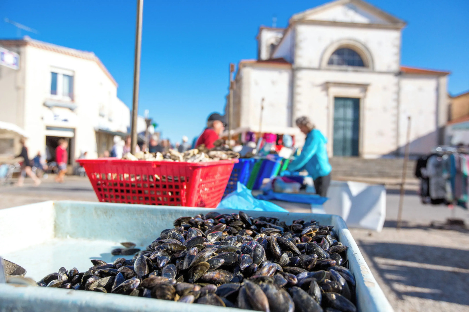 Les Voyageurs - Vaire