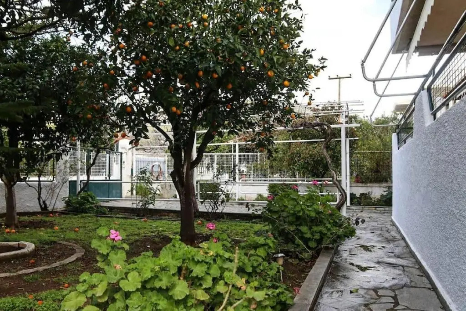 Nice house in Euboea