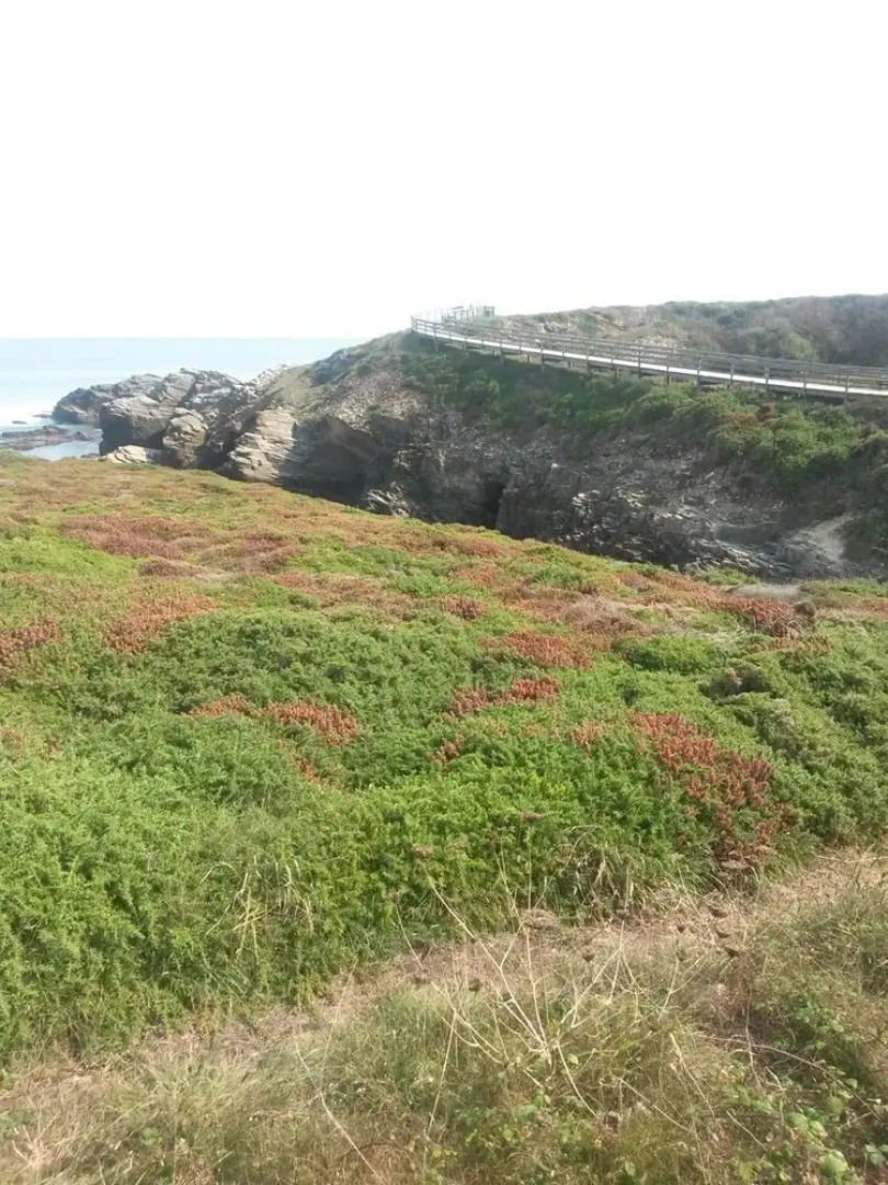 Apartment With 2 Bedrooms in Barreiros, With Wonderful sea View, Pool Access and Furnished Terrace